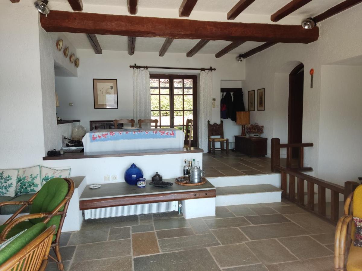 Lito's Dream By The Sea! Villa Amaliapoli