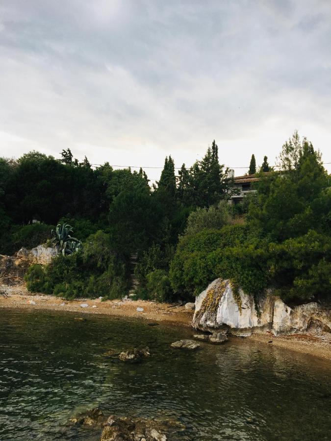 Lito's Dream By The Sea! * Amaliapoli